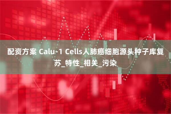 配资方案 Calu-1 Cells人肺癌细胞源头种子库复苏_特性_相关_污染